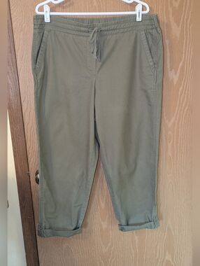 Talbot's - Sage Green Relaxed Fit Elastic Waist Pants - Size 12